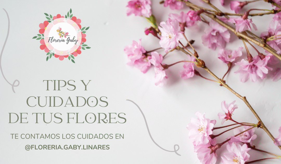 Tips y Cuidados de tus flores
