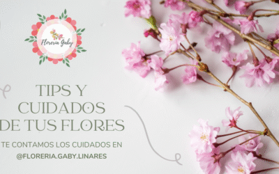 Tips y Cuidados de tus flores